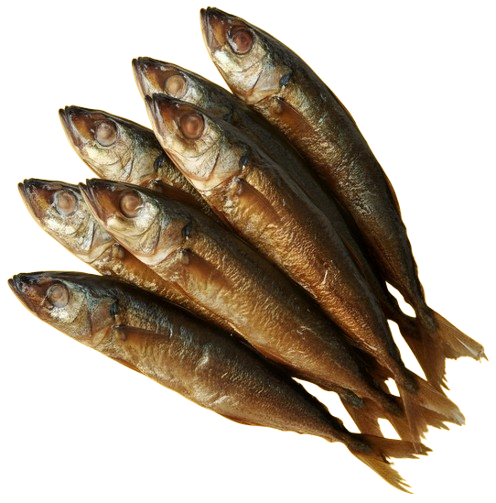 Smoked & Dried Fish